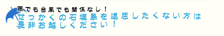 雨でも問題なし！