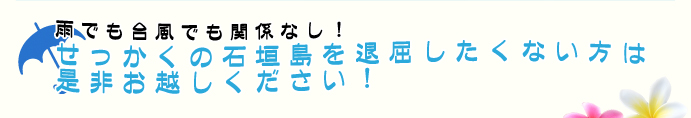 天候関係なし！